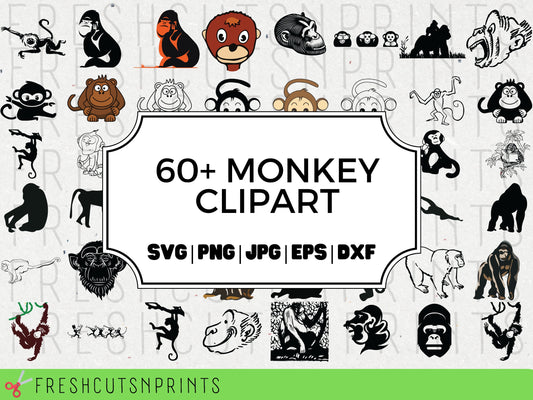 60+ Monkey Svg Bundle , Monkey Clipart, Monkey Vector, Monkey Cut Files, Gorilla SVG, Gorilla Vector, Ape svg, Monkey Silhouette