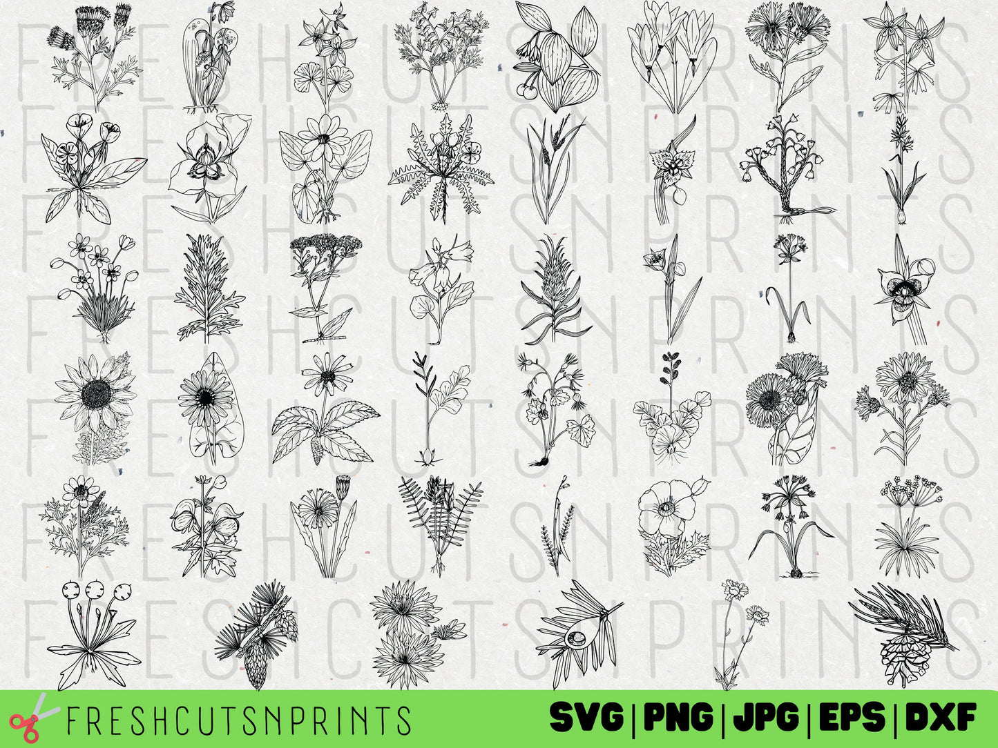 90+ Wildflower SVG Files , Bouquet svg, flower svg, wildflower vector, wildflower clipart, botanical svg, flower svg, hand drawn flower svg